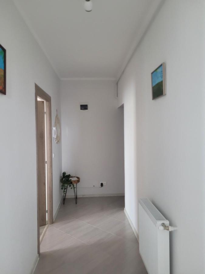 Amparo Satu Mare Exterior foto